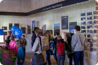 Fledermaus-Ausstellung Orth